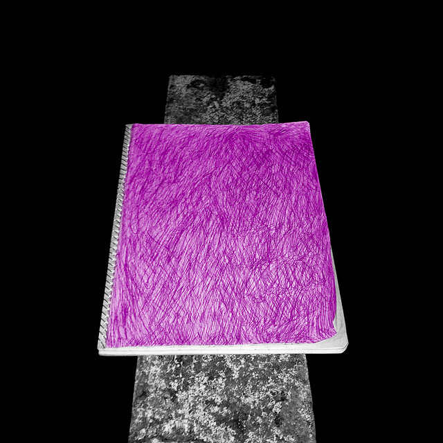 dear pink diary cover art