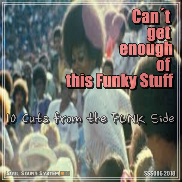 Can't Get Enough of This Funky Stuff cover