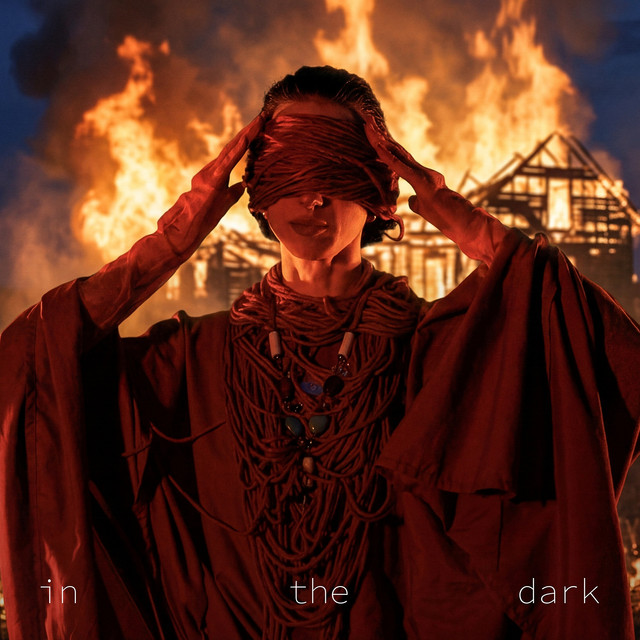 Обкладинка: In the Dark — Captain Hmiel