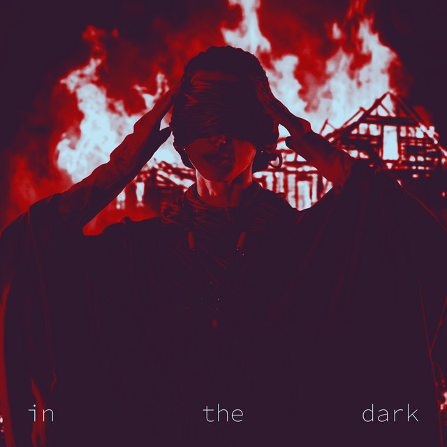 Обкладинка: In the dark - Instrumental — Captain Hmiel
