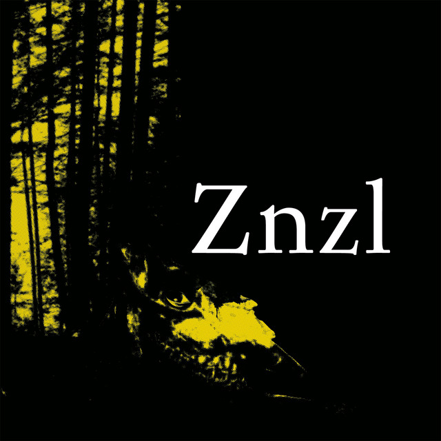 Gaze Upon cover art