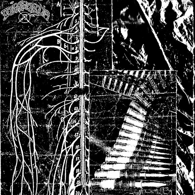 LWSTNDRDS Split cover