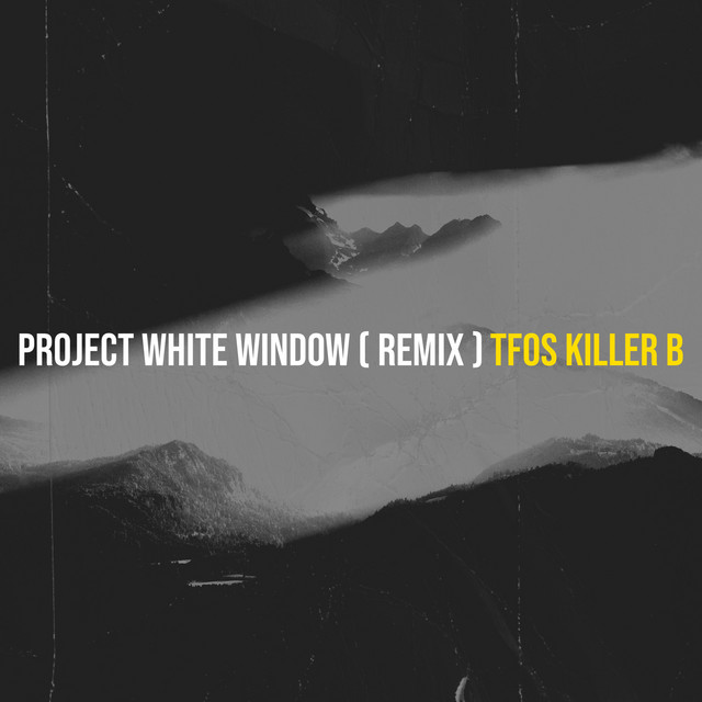 Project White Window ( Remix )