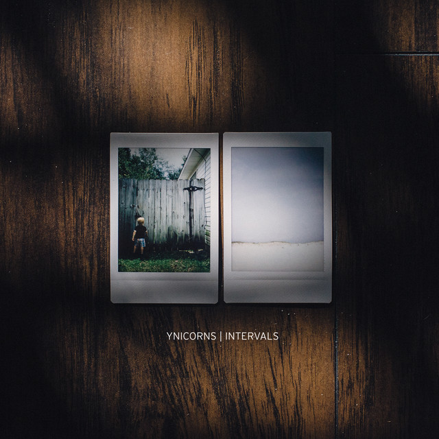 INTERVALS cover art