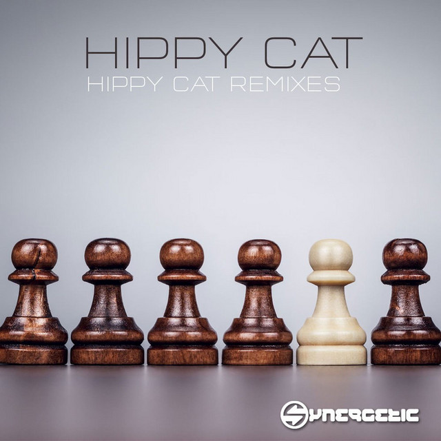 Hippy Cat Photo