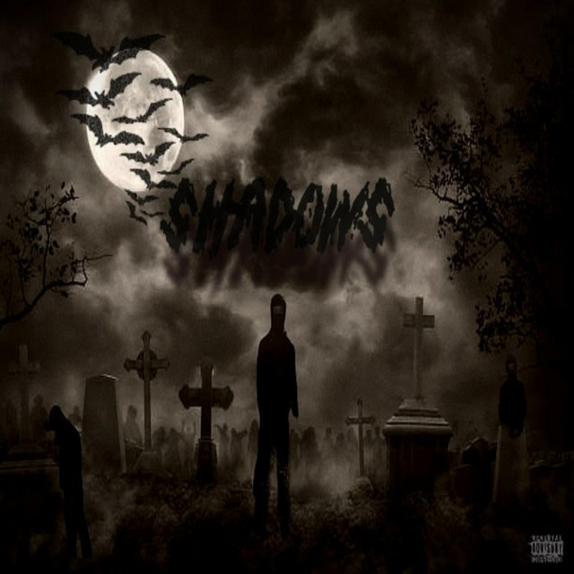 Shadows - Single by Anonymous Vendetta | Spotify
