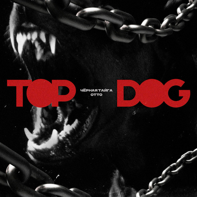 TOP DOG