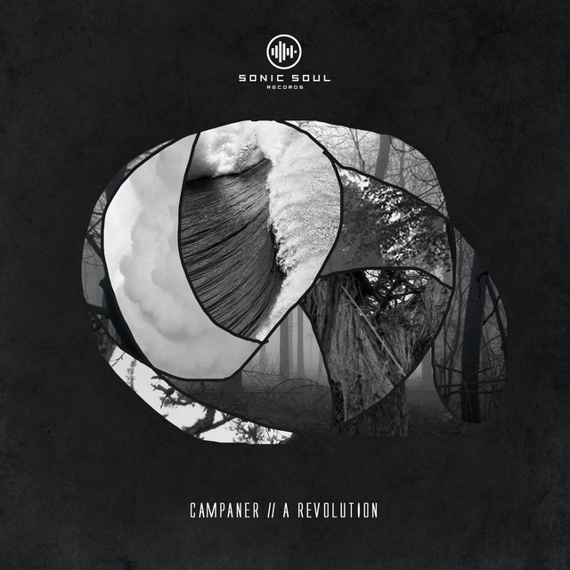 A Revolution cover art