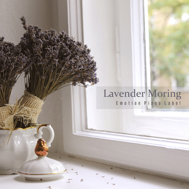 Lavender Morning cover