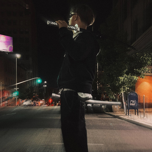 VVs cover art