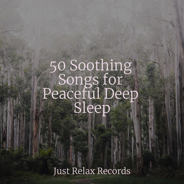 50 Soothing Songs for Peaceful Deep Sleep cover art