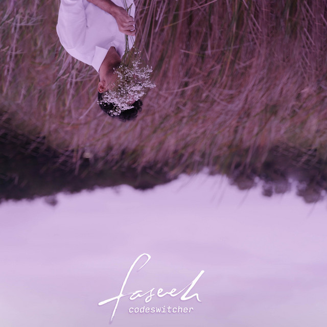 Code Switcher cover art