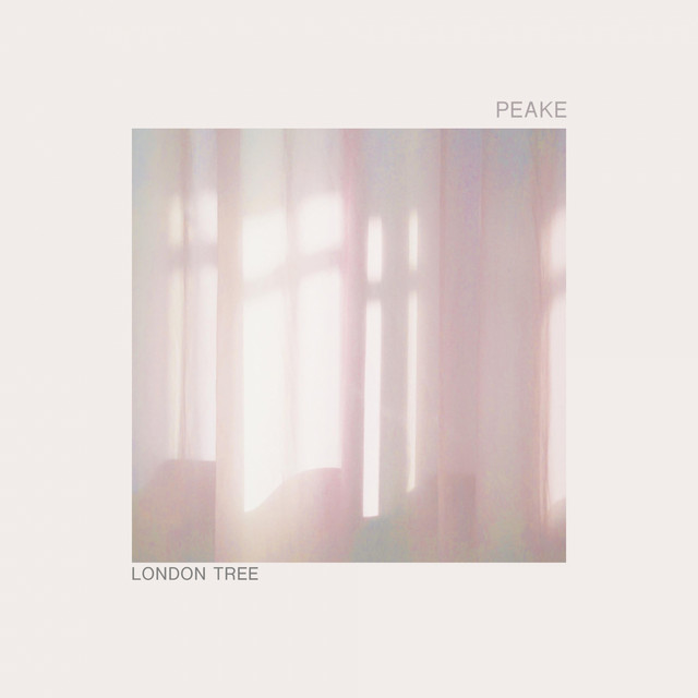 London Tree cover
