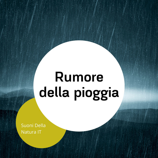 Rumore della pioggia cover art