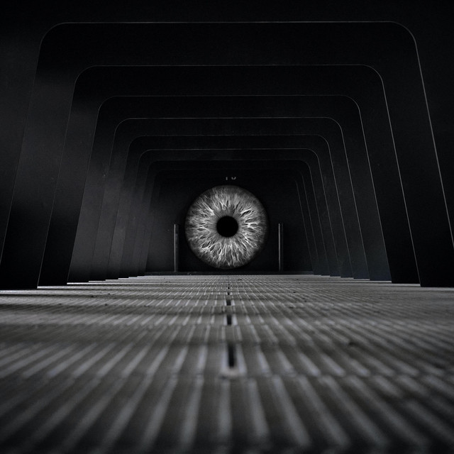 Into the Abyss cover art