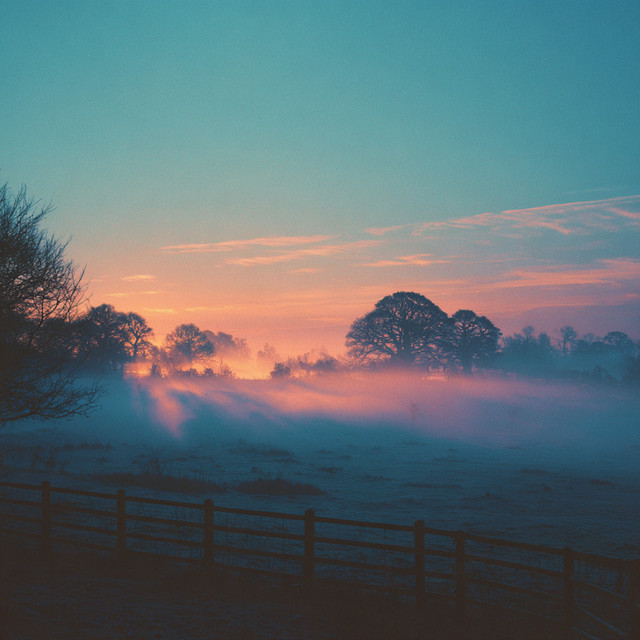 What Dreams May Come