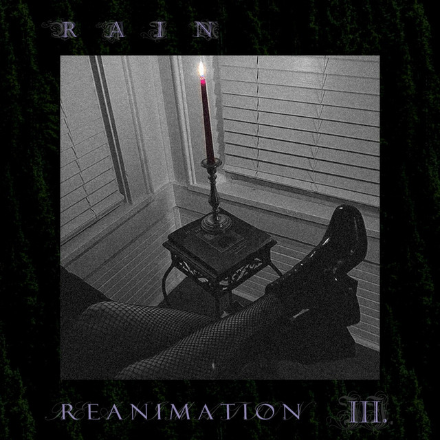 R3ANIMATION cover art