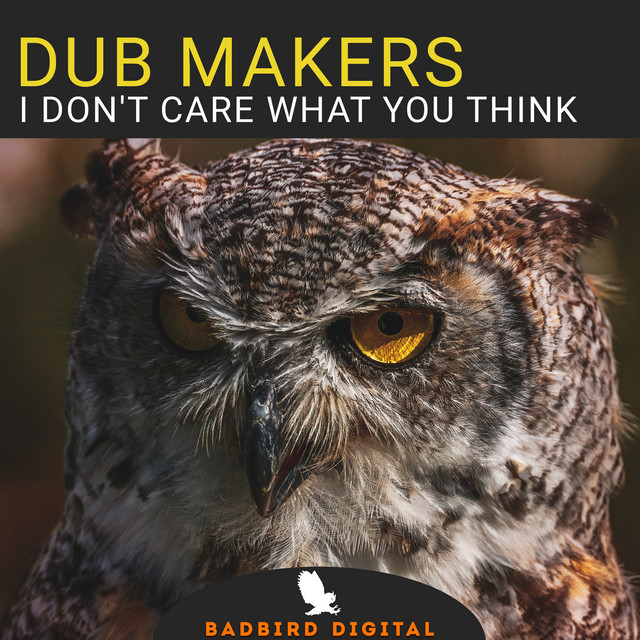 I Don't Care What You Think - Key900 Remix cover art
