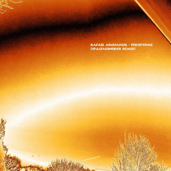 Persistence (Spaceschneider Remix) cover