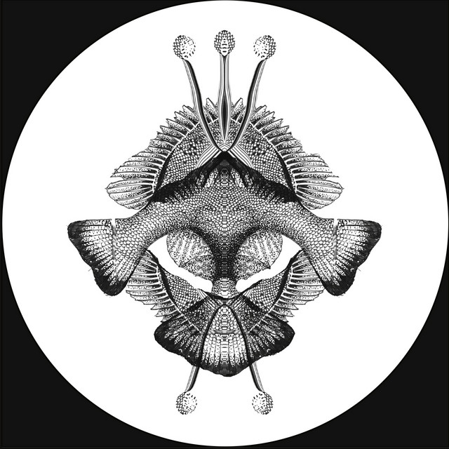 Triple album art