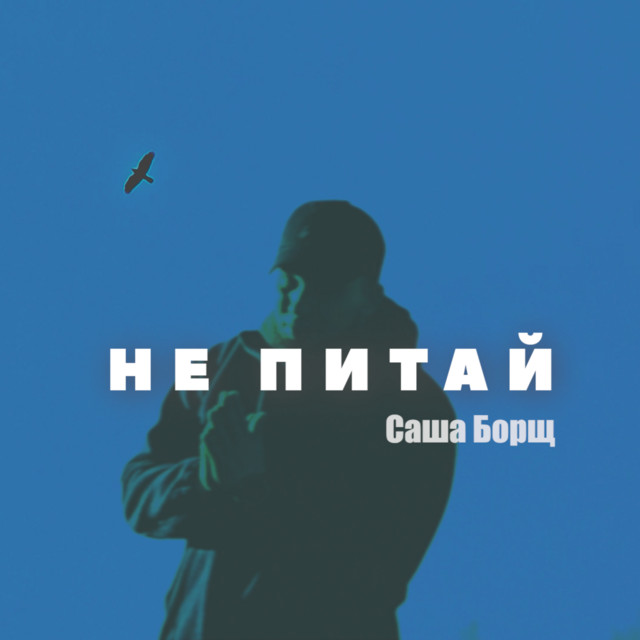 Cover art: Не питай — Саша Борщ