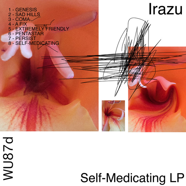 Self-Medicating LP cover art