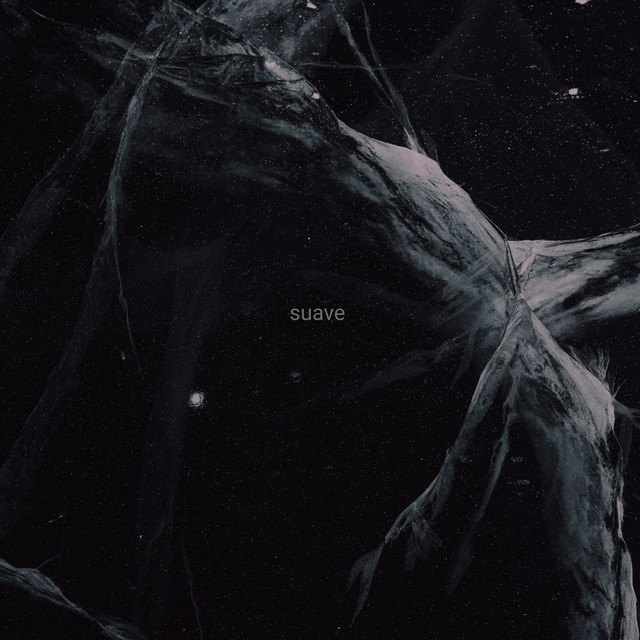 Cover art: Suave — Taras Bazeev