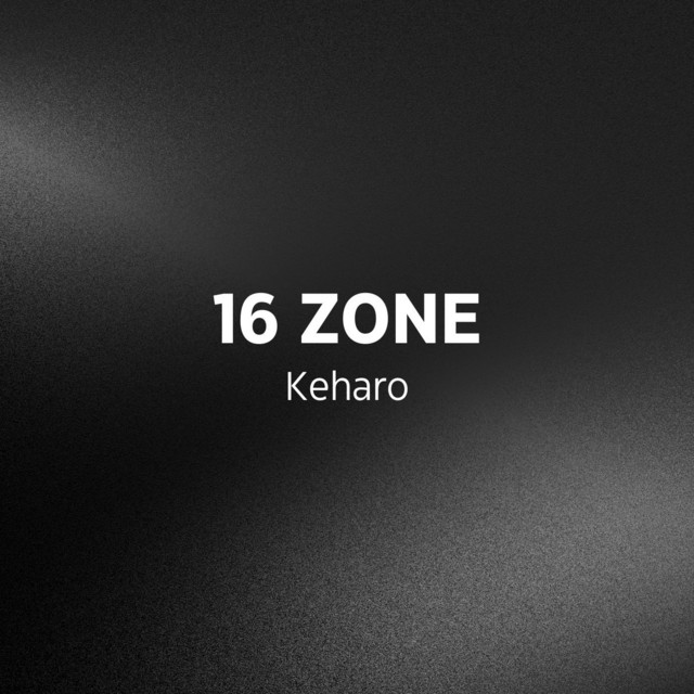 16 Zone cover art