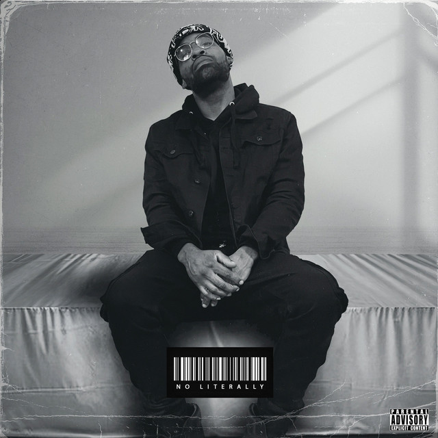 No Literally cover art