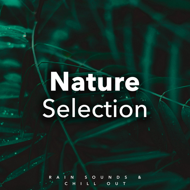 Nature Selection cover art