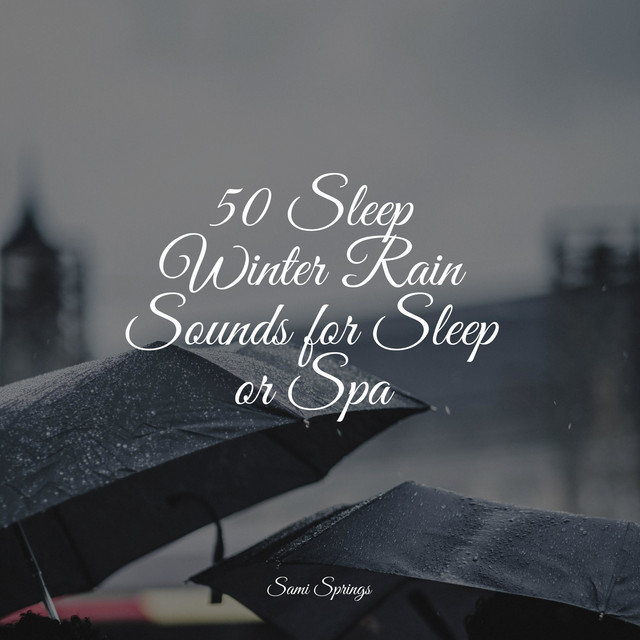 50 Sleep Winter Rain Sounds for Sleep or Spa - Album by Natural Sounds ...