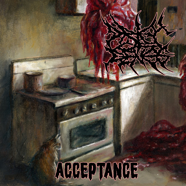 Обкладинка: Acceptance — Drift of Genes