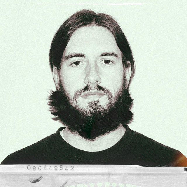 Cover art: Migratory Bird — avem musician