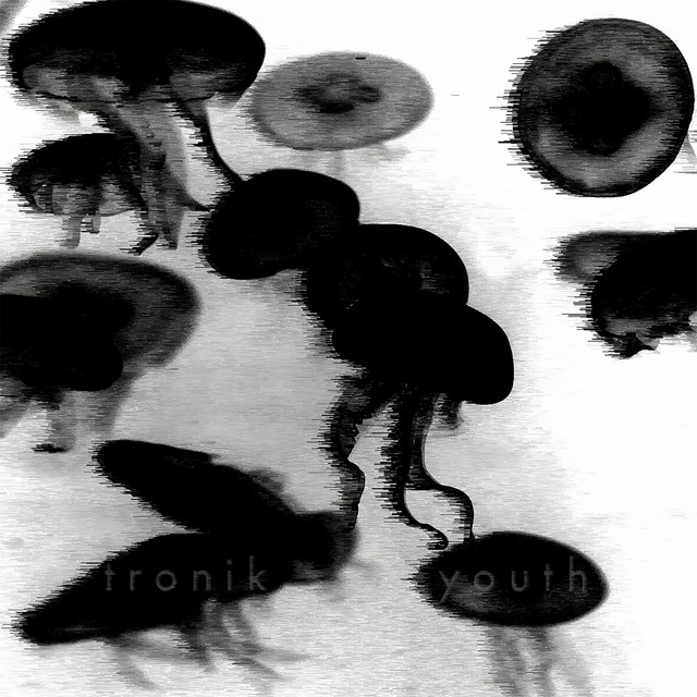Splinter of The Minds Eye - Original Mix