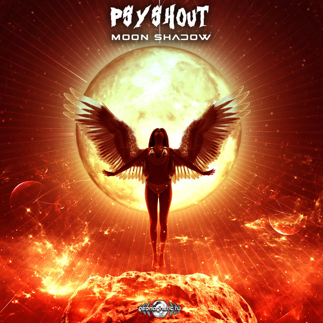 Moon Shadow cover art