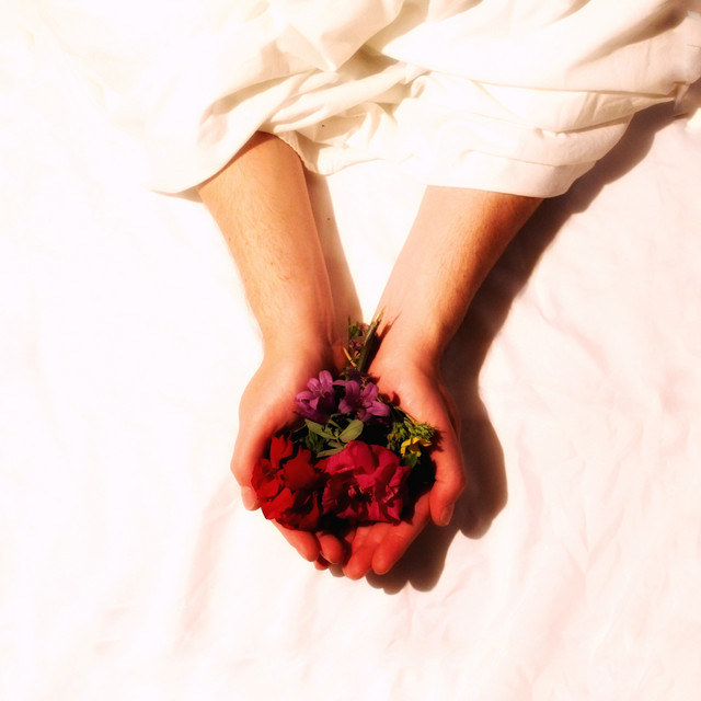 Swan Songs cover art