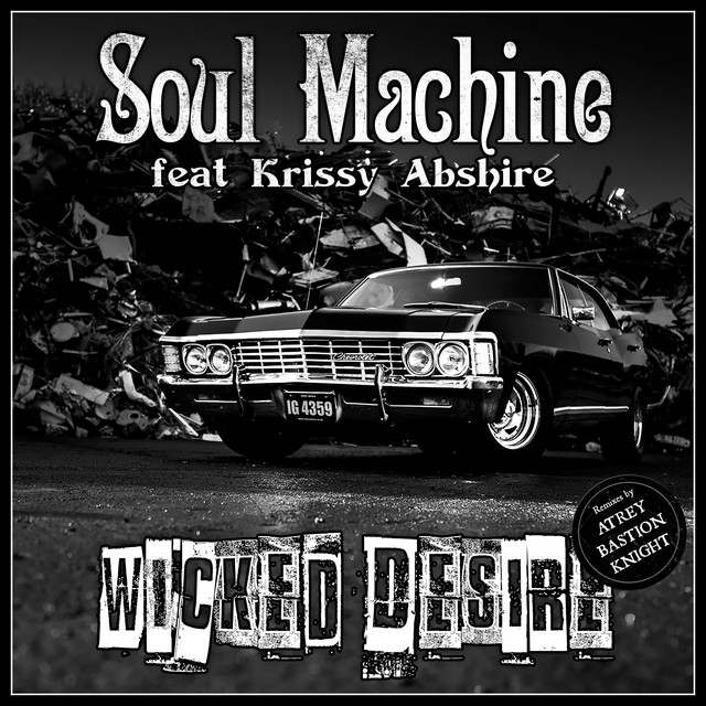 Wicked Desire cover