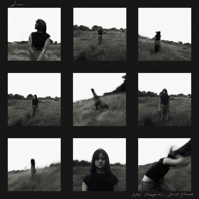 Not Fragile, Just Tired cover art