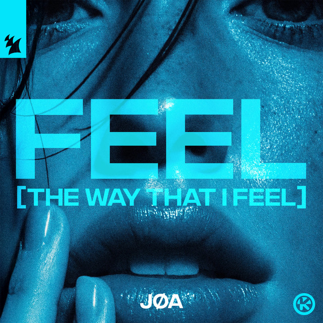 Feel (The Way That I Feel)