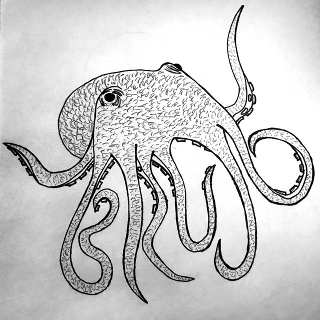 Lines cover art