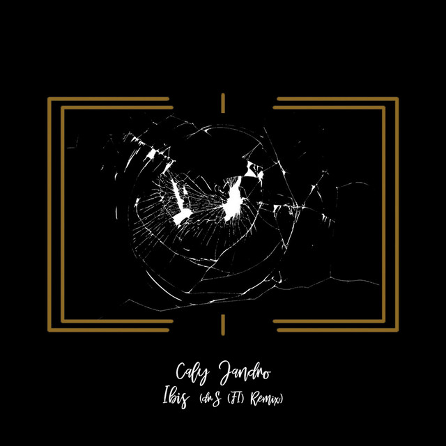 Ibis - drS (FI) Remix cover art