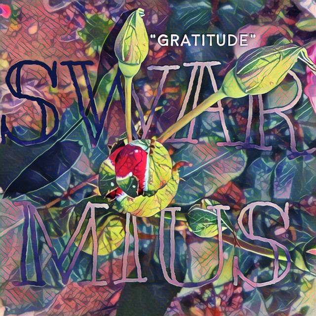 Gratitude - Single by Swarmius | Spotify