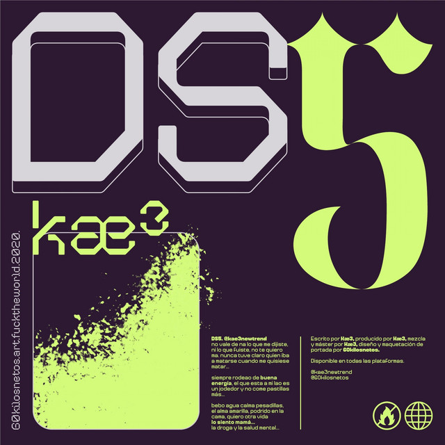 DS5 cover art