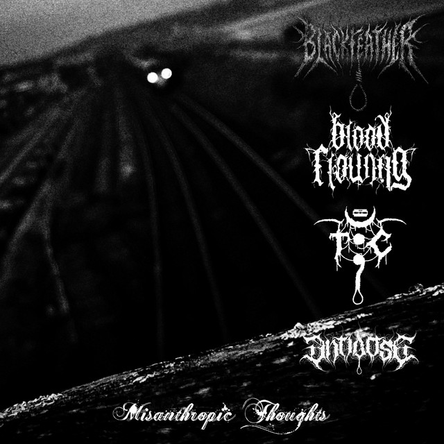 Misanthropic Thoughts cover art