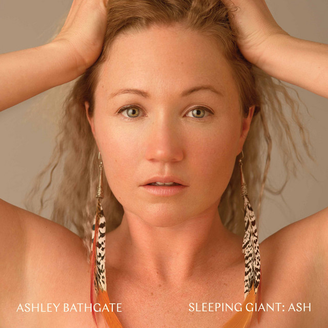 Ash cover art