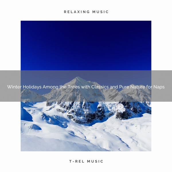 Winter Holidays Among the Trees with Classics and Pure Nature for Naps
