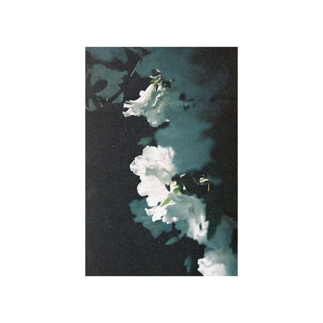 Innature cover art