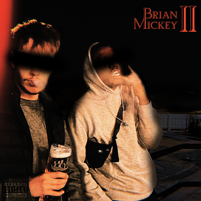 Brian and Mickey 2 cover art