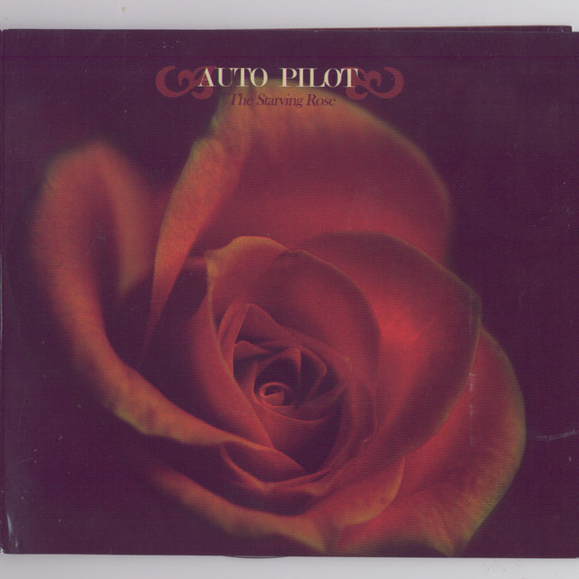The Starving Rose cover art