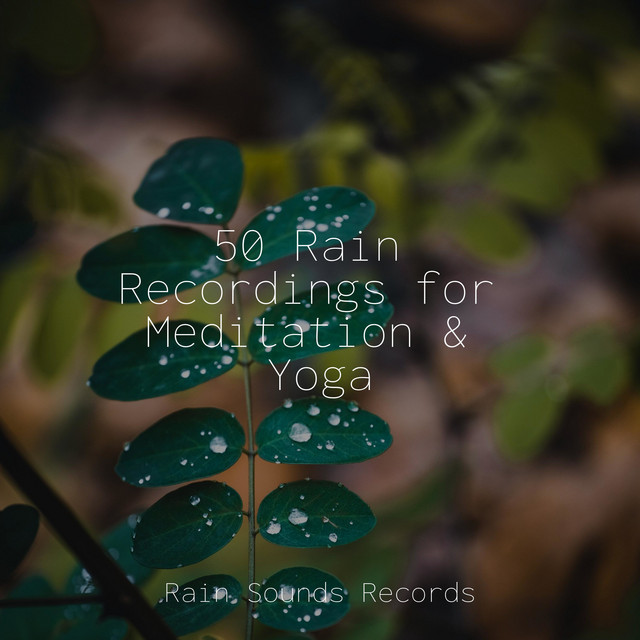 50 Rain Recordings for Meditation & Yoga - Album by Brain Study Music ...